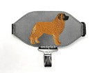 leonberger(1)(1)(1) copy